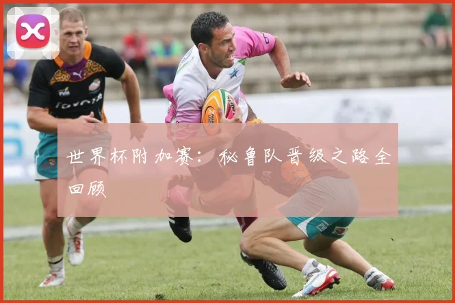 世界杯附加赛：秘鲁队晋级之路全回顾