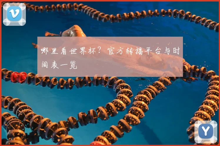 哪里看世界杯？官方转播平台与时间表一览