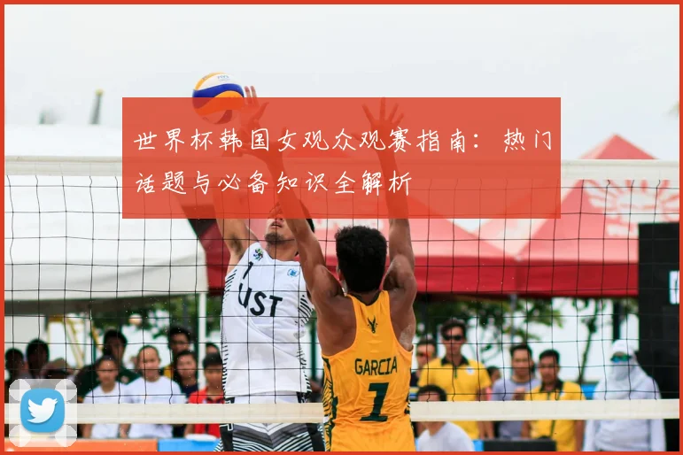 世界杯韩国女观众观赛指南：热门话题与必备知识全解析