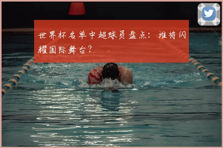 世界杯名单中超球员盘点:谁将闪耀国际舞台?