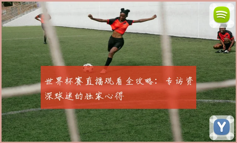 世界杯赛直播观看全攻略:专访资深球迷的独家心得