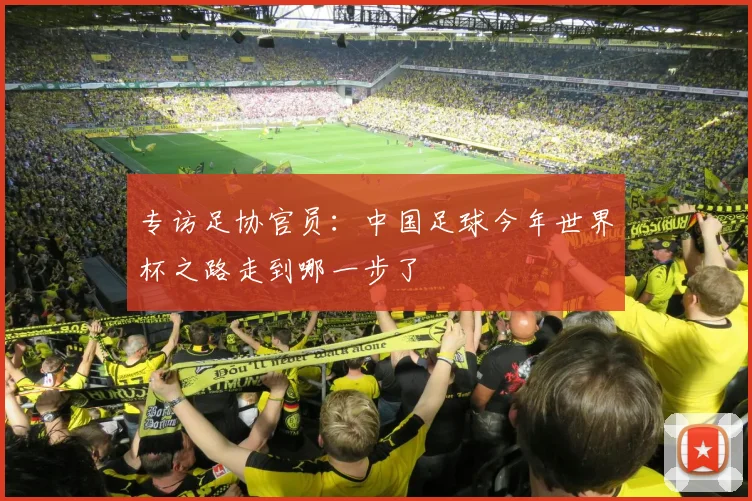专访足协官员：中国足球今年世界杯之路走到哪一步了